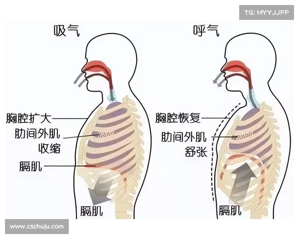 跑步时突然岔气的原因及预防措施解析 跑步时突然岔气的原因及预防措施解析